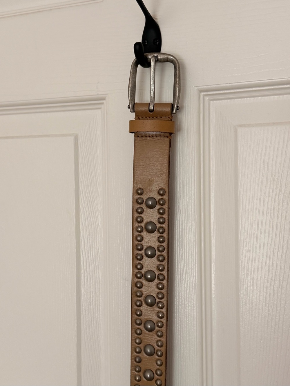 We the Free Sola Stud Belt in Saddle S/M
